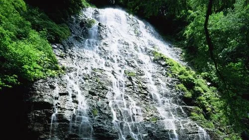 高性能高精度